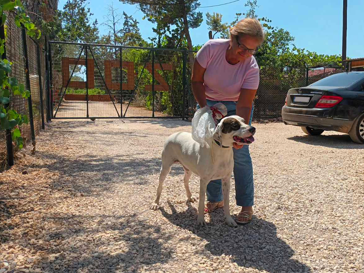 zoo kennel photo gallery