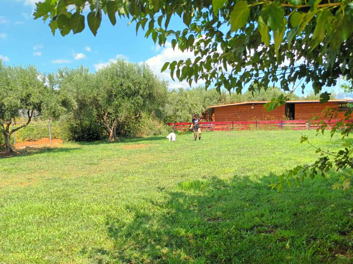 zoo kennel photo gallery