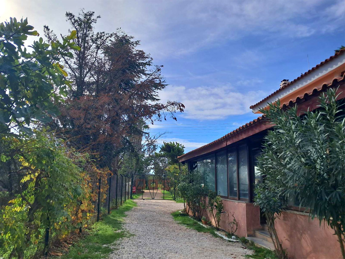 zoo kennel photo gallery