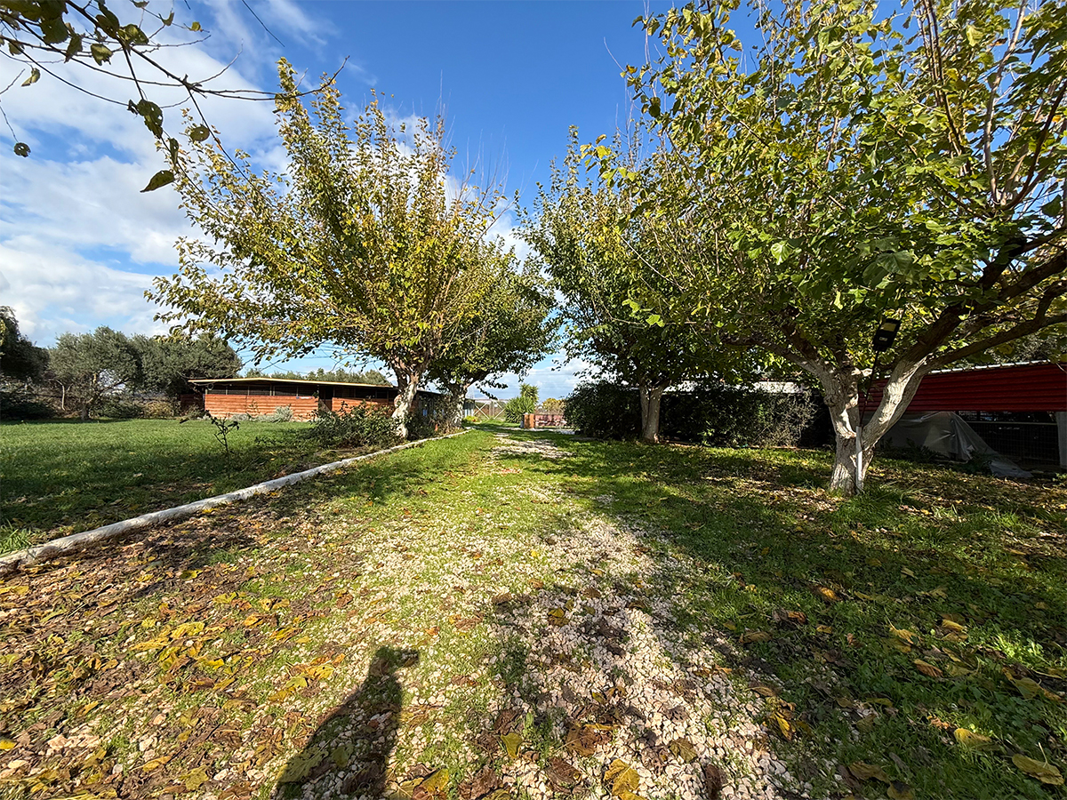 zoo kennel photo gallery