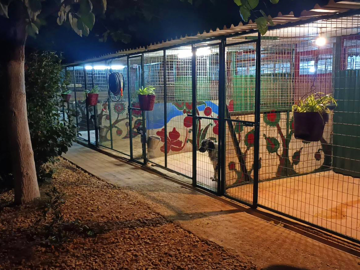 zoo kennel photo gallery